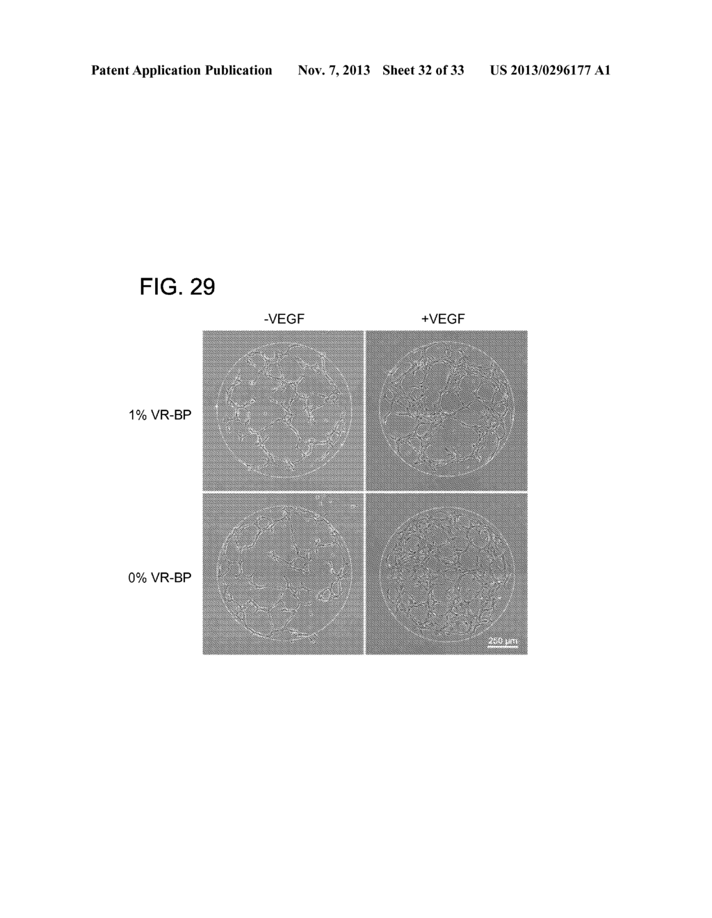 CHEMICALLY-DEFINED ARRAYS FOR SCREENING CELL-SUBSTRATE INTERACTIONS - diagram, schematic, and image 33