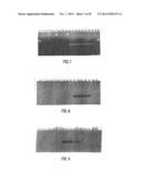 NUCLEIC ACID PROBE-BASED DIAGNOSTIC ASSAYS FOR PROKARYOTIC AND EUKARYOTIC     ORGANISMS diagram and image