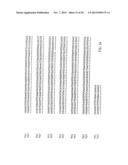 NUCLEIC ACID PROBE-BASED DIAGNOSTIC ASSAYS FOR PROKARYOTIC AND EUKARYOTIC     ORGANISMS diagram and image