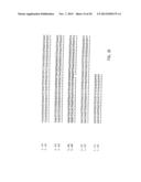 NUCLEIC ACID PROBE-BASED DIAGNOSTIC ASSAYS FOR PROKARYOTIC AND EUKARYOTIC     ORGANISMS diagram and image