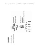 PROCESSES AND COMPOSITIONS FOR METHYLATION-BASED ENRICHMENT OF FETAL     NUCLEIC ACID FROM A MATERNAL SAMPLE USEFUL FOR NON-INVASIVE PRENATAL     DIAGNOSES diagram and image