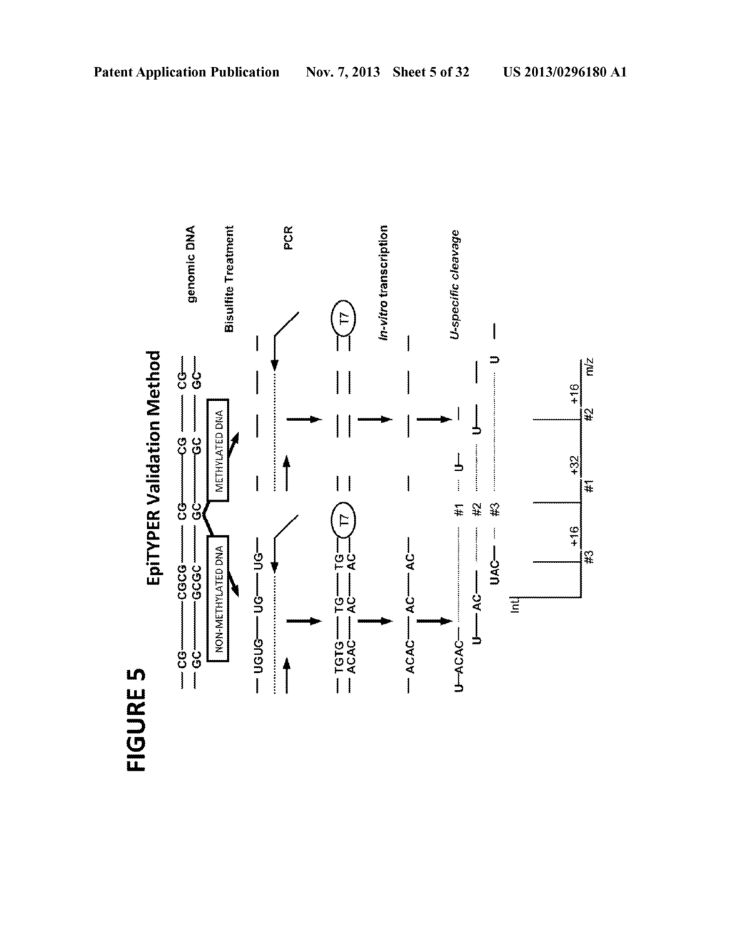 PROCESSES AND COMPOSITIONS FOR METHYLATION-BASED ENRICHMENT OF FETAL     NUCLEIC ACID FROM A MATERNAL SAMPLE USEFUL FOR NON-INVASIVE PRENATAL     DIAGNOSES - diagram, schematic, and image 06