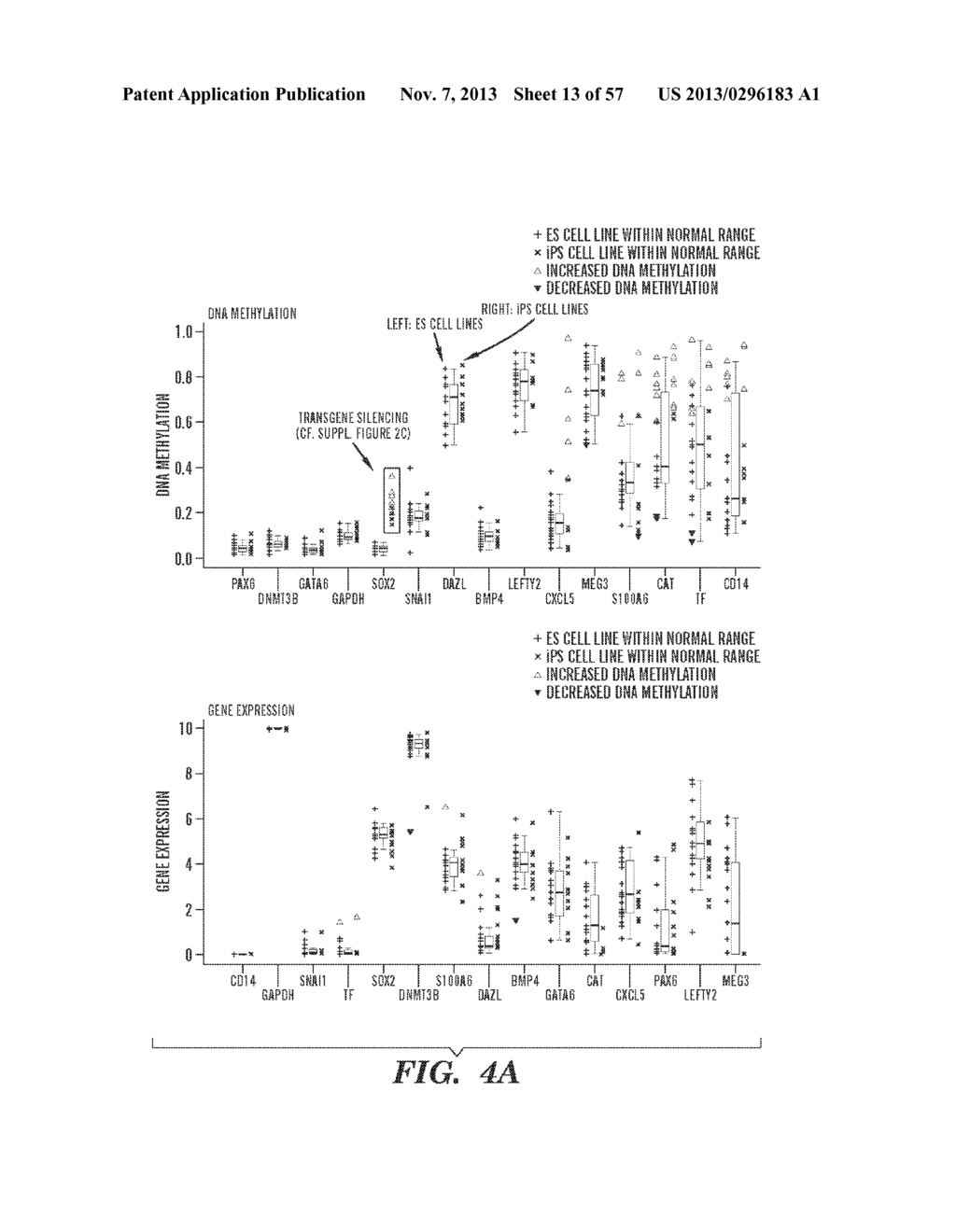 FUNCTIONAL GENOMICS ASSAY FOR CHARACTERIZING PLURIPOTENT STEM CELL UTILITY     AND SAFETY - diagram, schematic, and image 14