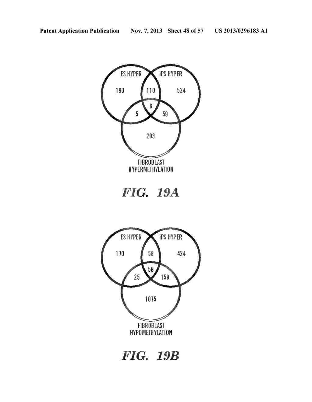 FUNCTIONAL GENOMICS ASSAY FOR CHARACTERIZING PLURIPOTENT STEM CELL UTILITY     AND SAFETY - diagram, schematic, and image 49