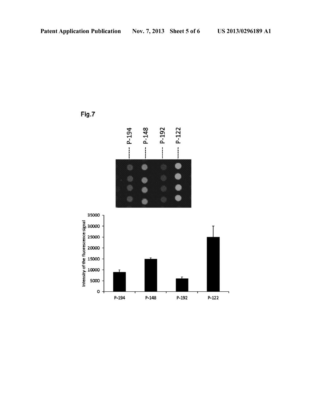 PROBES UTILIZING UNIVERSAL TAGS, A KIT COMPRISING THE SAME AND DETECTION     METHODS - diagram, schematic, and image 06