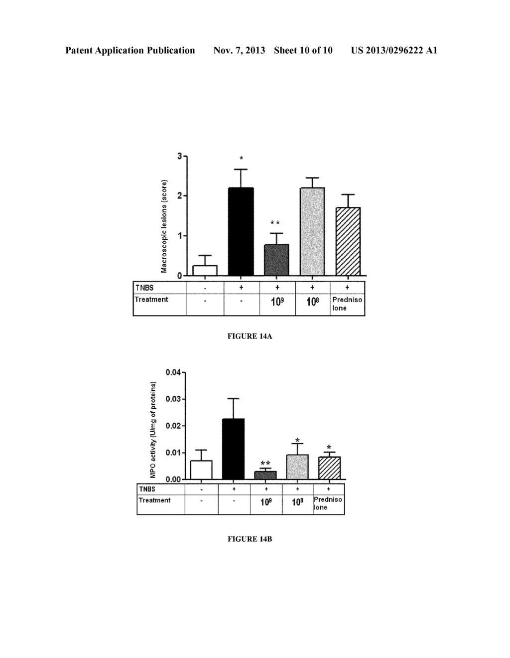 NOVEL BACTERIUM AND EXTRACTS OF SAID BACTERIUM AND THE USE OF SAME IN     THERAPY - diagram, schematic, and image 11