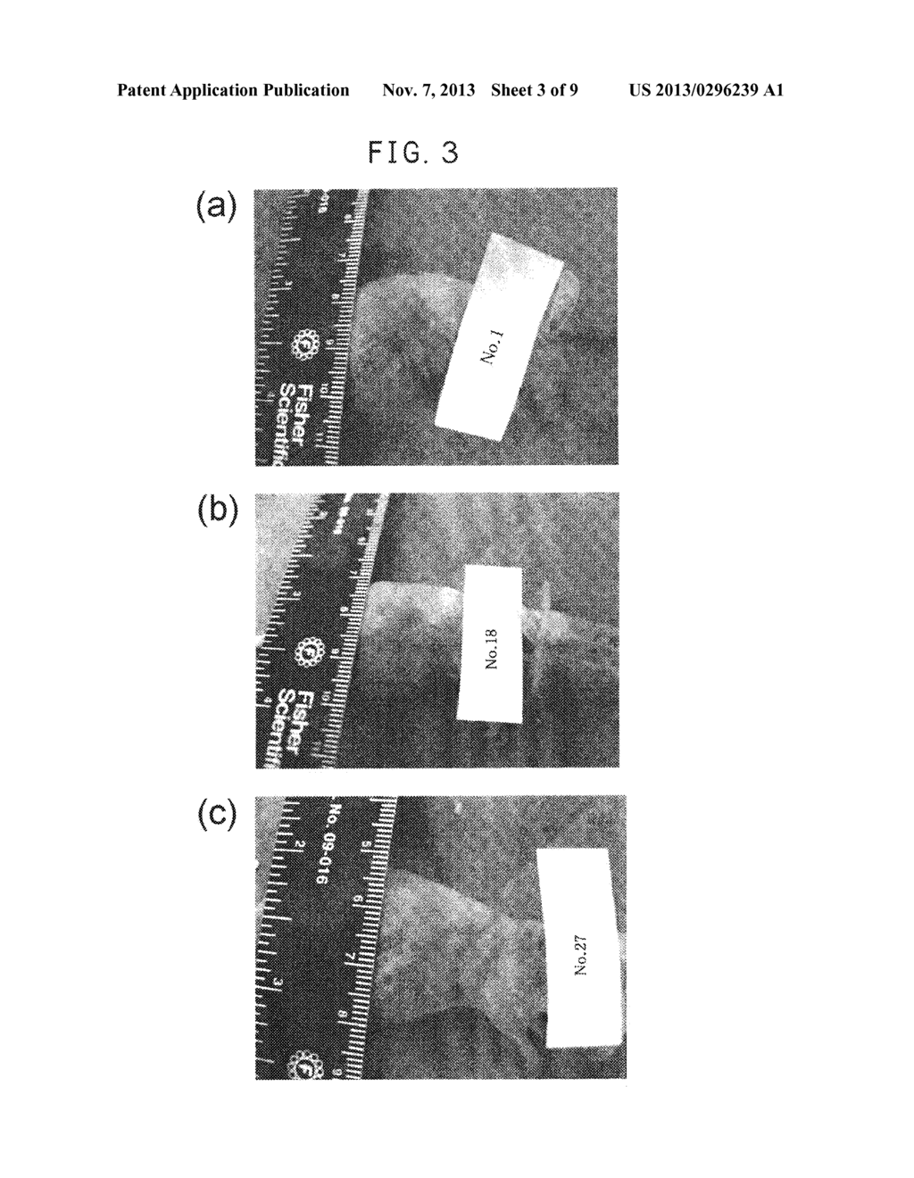 Material for Wound Healing and Skin Reconstruction - diagram, schematic, and image 04