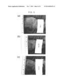 Material for Wound Healing and Skin Reconstruction diagram and image