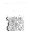 Material for Wound Healing and Skin Reconstruction diagram and image