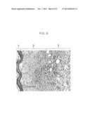 Material for Wound Healing and Skin Reconstruction diagram and image