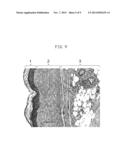 Material for Wound Healing and Skin Reconstruction diagram and image