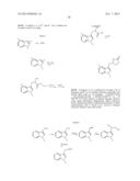 Aryl Substituted Indoles and Their Use as Blockers of Sodium Channels diagram and image