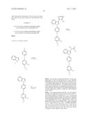 Aryl Substituted Indoles and Their Use as Blockers of Sodium Channels diagram and image