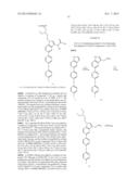 Aryl Substituted Indoles and Their Use as Blockers of Sodium Channels diagram and image