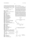 ARYL PYRIDINE AS ALDOSTERONE SYNTHASE INHIBITORS diagram and image