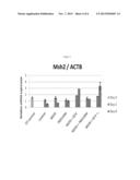 Combination Therapy for Cancer diagram and image