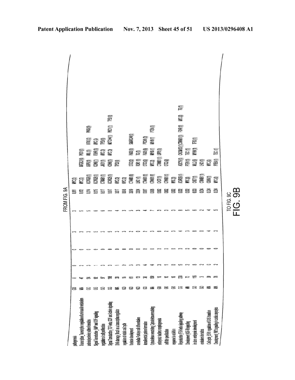 MEDULLOBLASTOMA GENES AS TARGETS FOR DIAGNOSIS AND THERAPEUTICS - diagram, schematic, and image 46