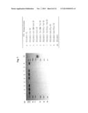 FUSION PROTEIN HAVING FACTOR IX ACTIVITY diagram and image