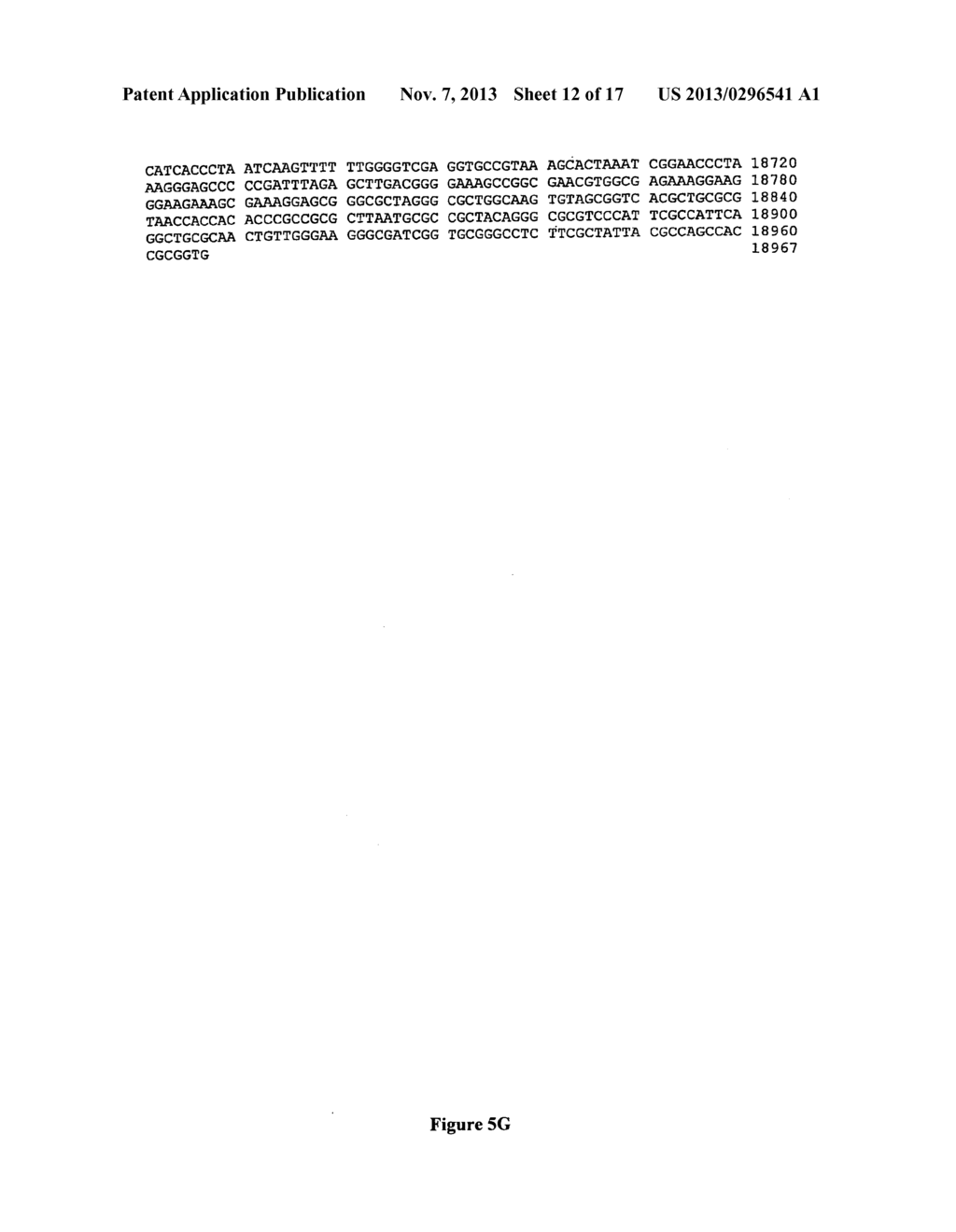 Infectious cDNA of an approved vaccine strain of measles virus, use for     immunogenic compositions - diagram, schematic, and image 13