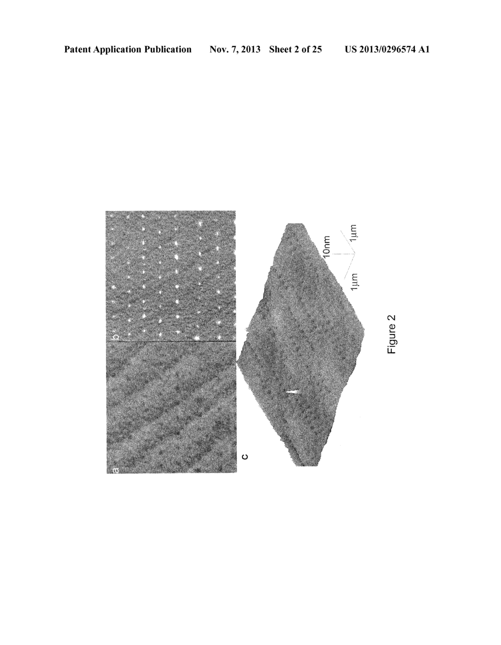 PREPARATION OF SENSORS ON OLIGO- OR POLY (ETHYLENE GLYCOL) FILMS ON     SILICON SURFACES - diagram, schematic, and image 03