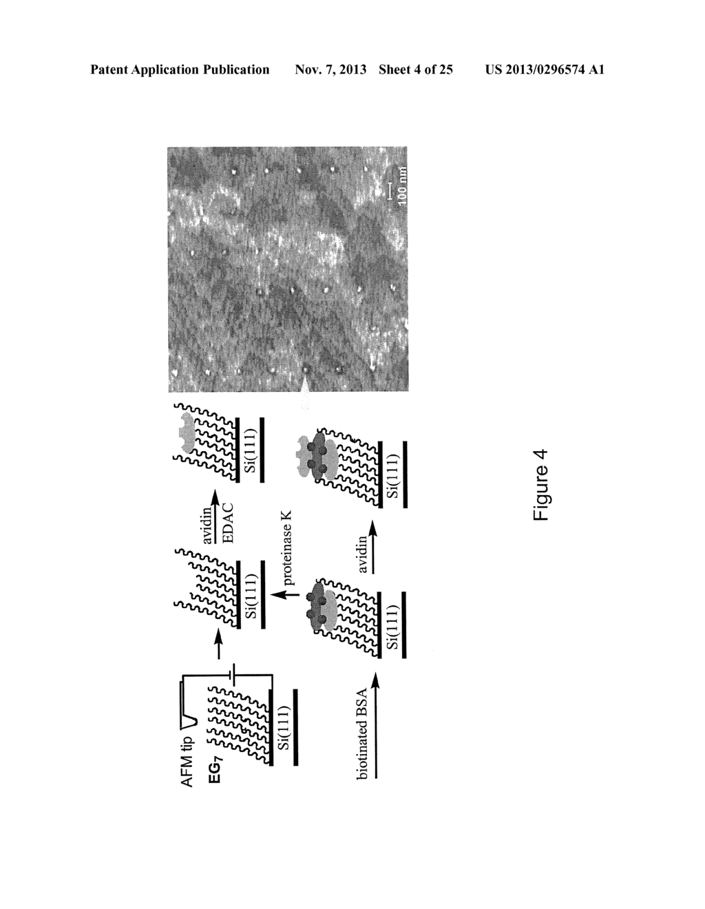 PREPARATION OF SENSORS ON OLIGO- OR POLY (ETHYLENE GLYCOL) FILMS ON     SILICON SURFACES - diagram, schematic, and image 05