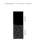 PREPARATION OF SENSORS ON OLIGO- OR POLY (ETHYLENE GLYCOL) FILMS ON     SILICON SURFACES diagram and image