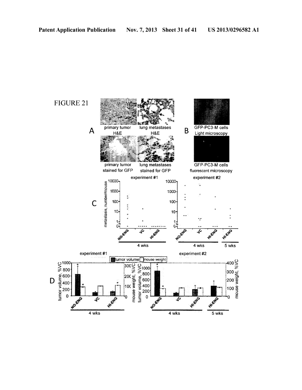 INHIBITION AND TREATMENT OF PROSTATE CANCER METASTASIS - diagram, schematic, and image 32