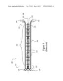 SOLID STATE ILLUMINATION FOR ENDOSCOPY diagram and image