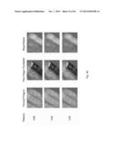 DIGITAL LIGHT PROCESSING HYPERSPECTRAL IMAGING APPARATUS diagram and image