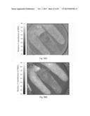 DIGITAL LIGHT PROCESSING HYPERSPECTRAL IMAGING APPARATUS diagram and image