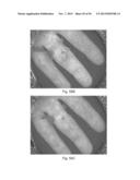 DIGITAL LIGHT PROCESSING HYPERSPECTRAL IMAGING APPARATUS diagram and image