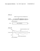 AUDITORY EVENT-RELATED POTENTIAL MEASUREMENT SYSTEM, AUDITORY     EVENT-RELATED POTENTIAL MEASUREMENT METHOD, AND COMPUTER PROGRAM THEREOF diagram and image