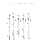 IMPLANT DELIVERY SYSTEM diagram and image