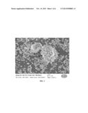 BLENDED OPACIFIER FOR COATINGS AND POLYMERIC MATRICES diagram and image