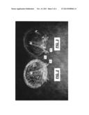 PRETREATMENT COMPOSITION AND METHOD diagram and image