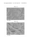 METHOD OF MAKING A MULTI-PLY WIPER/TOWEL PRODUCT WITH CELLULOSIC     MICROFIBERS diagram and image