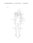 MANNEQUIN FOR PRESENTING OR PHOTOGRAPHING CLOTHING ARTICLES diagram and image