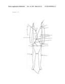 MANNEQUIN FOR PRESENTING OR PHOTOGRAPHING CLOTHING ARTICLES diagram and image