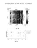 OPTICAL COUPLING TECHNIQUE FOR CONTIGUOUS MONOLITHIC SCINTILLATION CRYSTAL     DETECTORS diagram and image