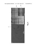 HIGH OUTPUT POWER, HIGH EFFICIENCY BLUE LIGHT-EMITTING DIODES diagram and image