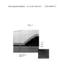 THIN FILM TRANSISTOR ARRAY PANEL diagram and image