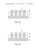 FIN STRUCTURE diagram and image