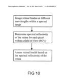 RETINAL FUNDUS SURVEILLANCE METHOD AND APPARATUS diagram and image