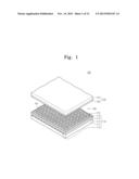 ELECTROWETTING DISPLAY DEVICE diagram and image