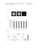 NOVEL TARGETED PARAMAGNETIC CONTRAST AGENT diagram and image