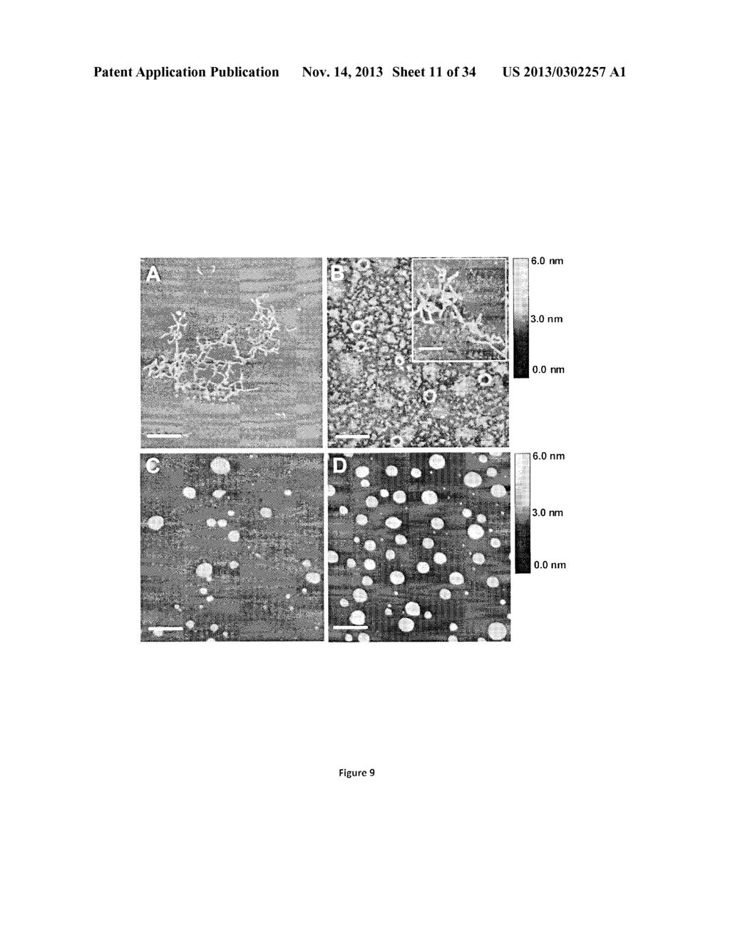 Compositions and Methods for Delivering Nucleic Acid Molecules and     Treating Cancer - diagram, schematic, and image 12