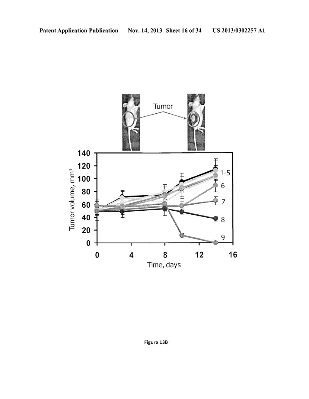 Compositions and Methods for Delivering Nucleic Acid Molecules and     Treating Cancer - diagram, schematic, and image 17