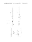 MRI CONTRAST AGENTS diagram and image