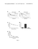 TUMOR TARGETED TNF-RELATED APOPTOSIS INDUCING LIGAND FUSION POLYPEPTIDE,     METHODS AND USES THEREFOR diagram and image