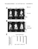 TUMOR TARGETED TNF-RELATED APOPTOSIS INDUCING LIGAND FUSION POLYPEPTIDE,     METHODS AND USES THEREFOR diagram and image